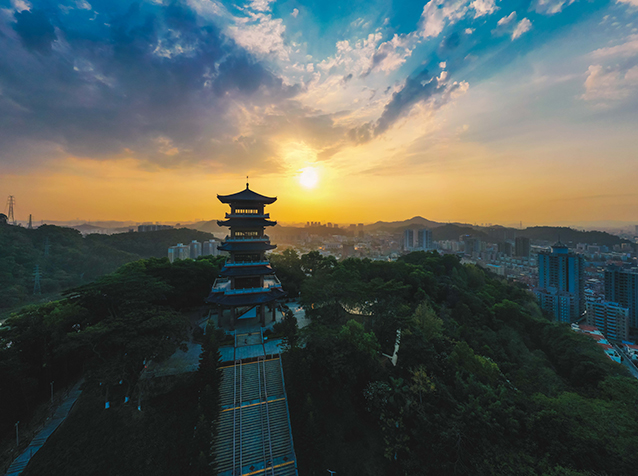 DJI_0450.jpg
