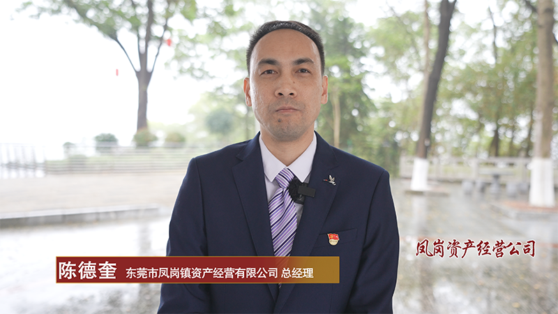 13、凤岗资产经营.png