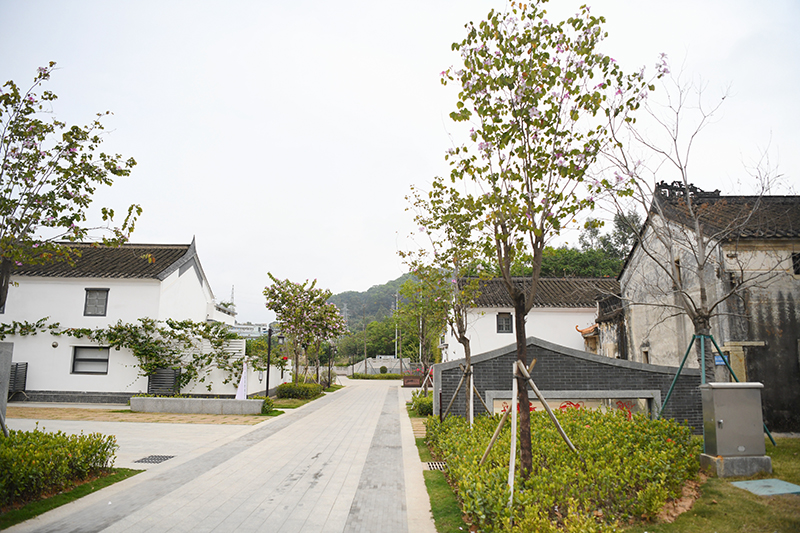 DSC_1814_副本.jpg
