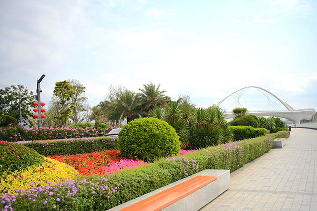 DSC_2146_副本.jpg