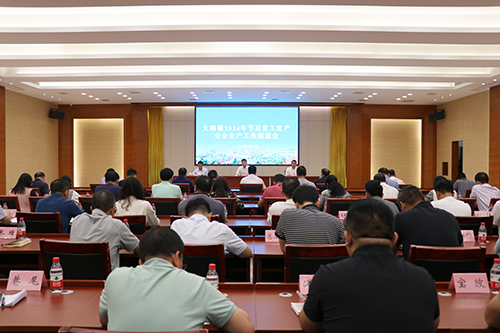 2【标题】大朗召开2024年节后复工复产安全生产工作推进会.JPG