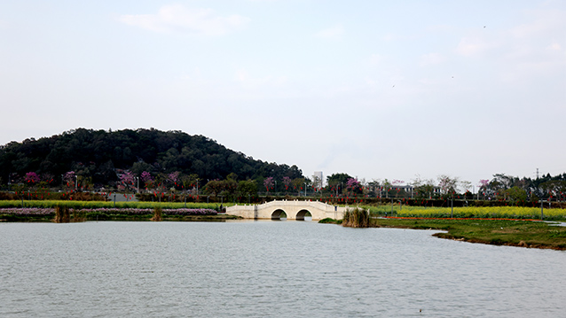 0M7A7398.JPG