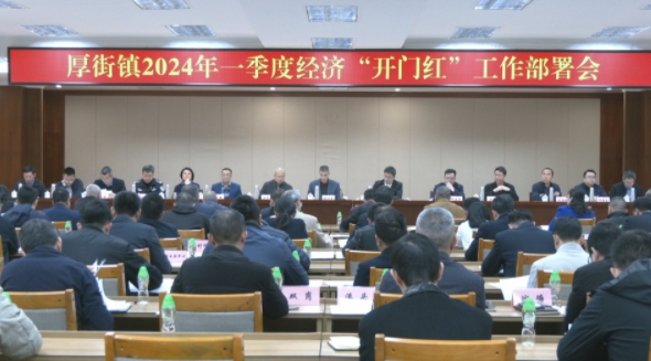拼经济、抢开局！厚街奋力冲刺一季度“开门红”.png