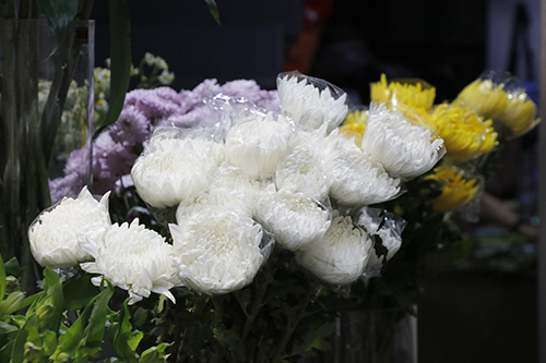 4【标题】清明将至 菊花价格平稳.JPG