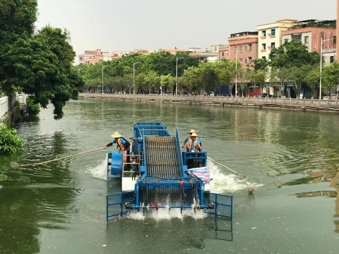 微信图片_20200526182707.jpg