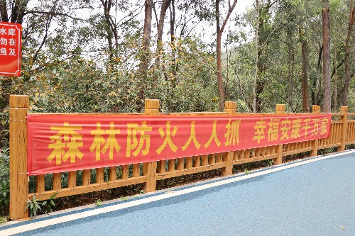 2【标题】大朗扎实做好森林防火工作 (8)~1.jpg