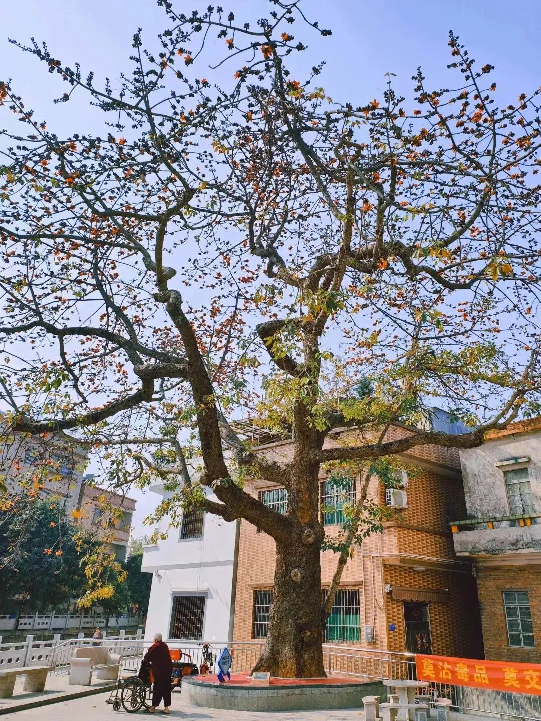 微信图片_20240415111550.jpg