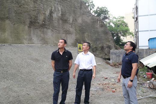 长安镇党委委员陈文龙带队前往正龙路、新岗路附近的地质灾害风险点、隐患点进行逐一检查 麦伟强摄_结果.jpg