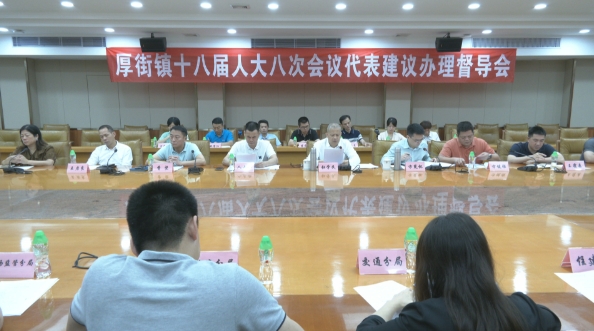 厚街：努力推动人大代表意见建议转化为实际成果.png
