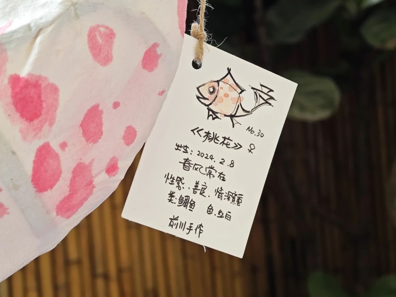 微信图片_20240508085940.jpg