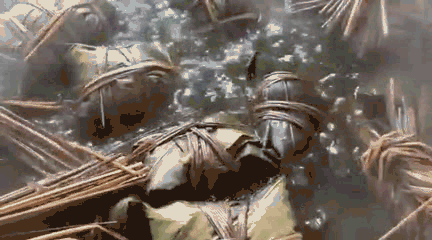 微信图片_20240516092429.gif