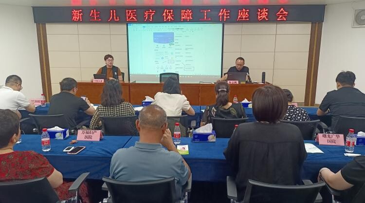 虎门医保分局召开新生儿医疗保障工作座谈会.docx_1