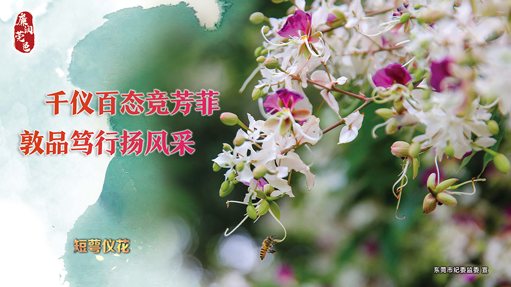 短萼仪花.jpg