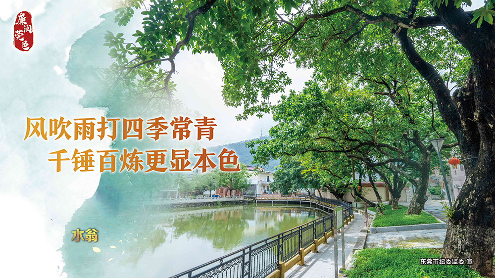 水翁.jpg