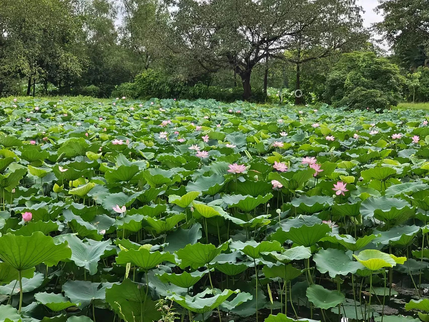 微信图片_20240625090137.jpg