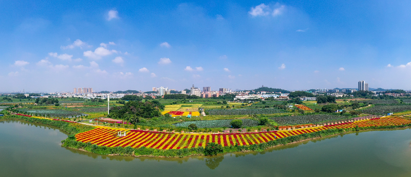 荷花文旅产业园 (2).jpg
