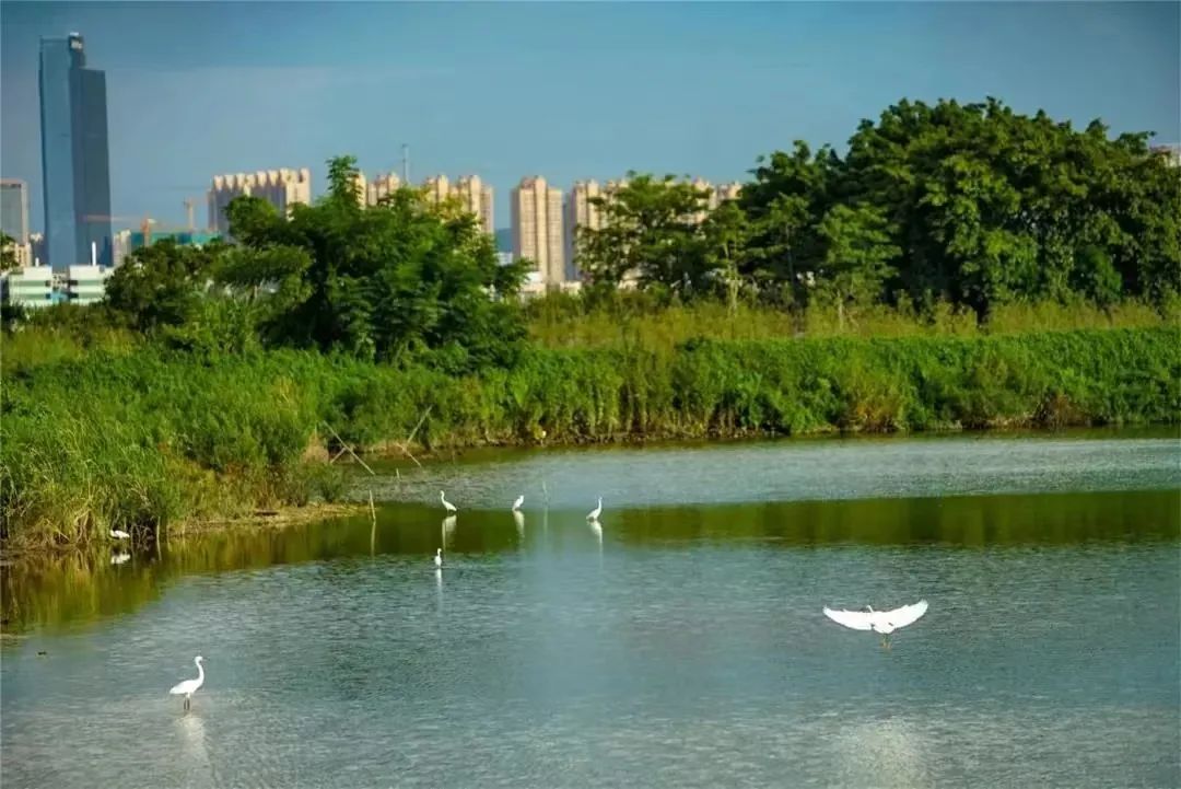 微信图片_20240715081749.jpg