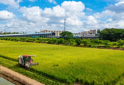 DJI_0681.jpg