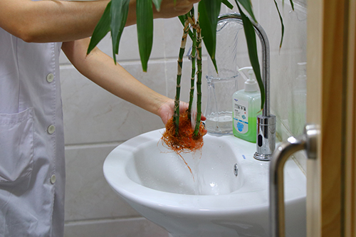 4【标题】防蚊灭蚊 预防登革热.JPG