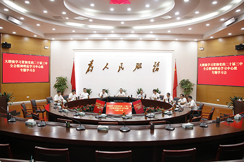 1【标题】大朗召开学习贯彻党的二十届三中全会精神理论学习中心组专题学习会.JPG