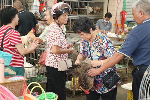 3【标题】中秋节临近 活禽价格平稳.JPG