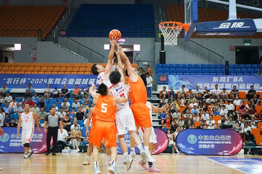 处理图DSC083932024_结果.jpg