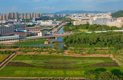 DJI_0385.jpg