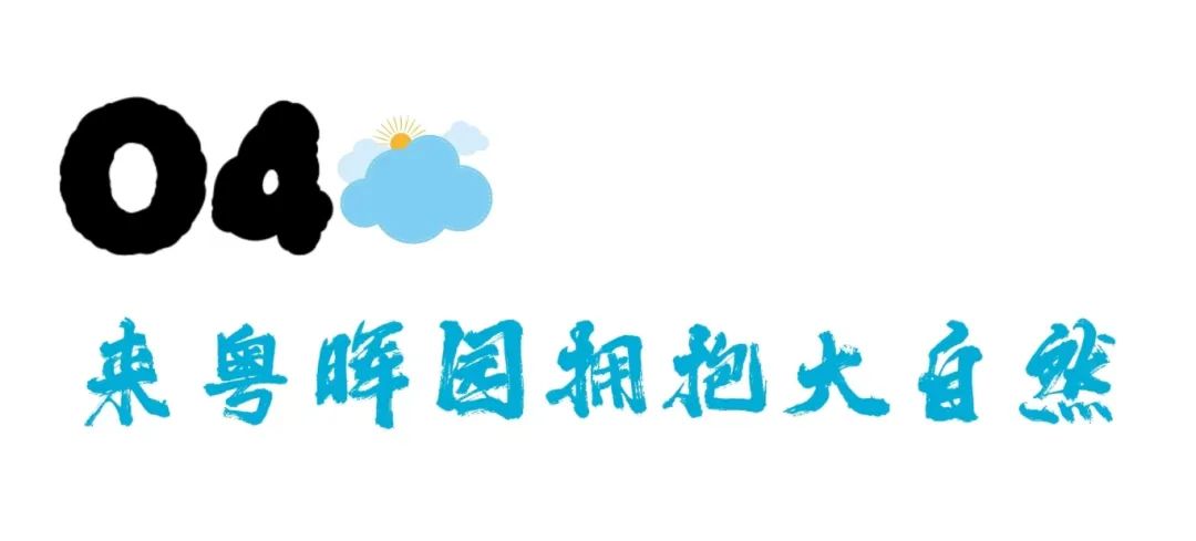 微信图片_20241024105210.jpg