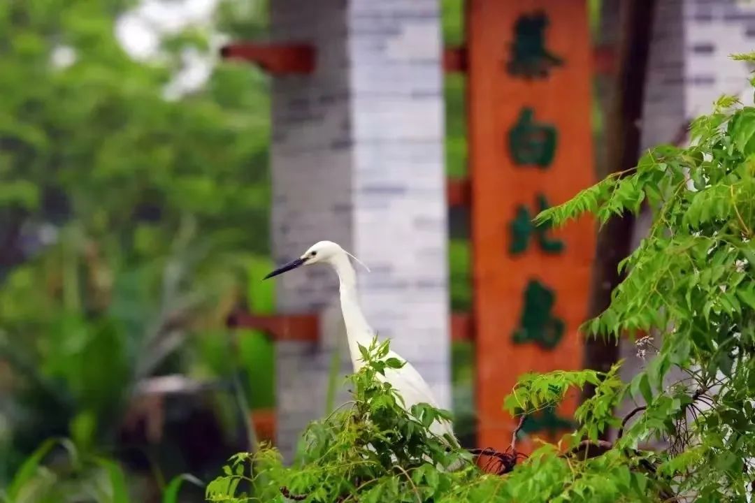 微信图片_20241024105309.jpg