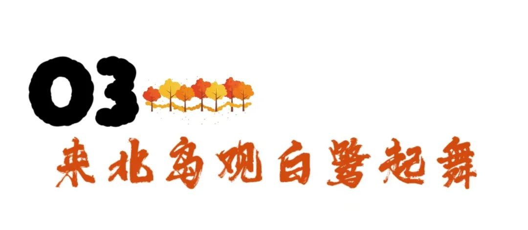 微信图片_20241024105332.jpg