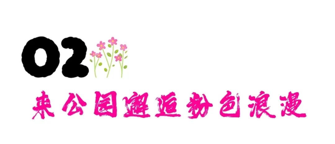 微信图片_20241024105430.jpg