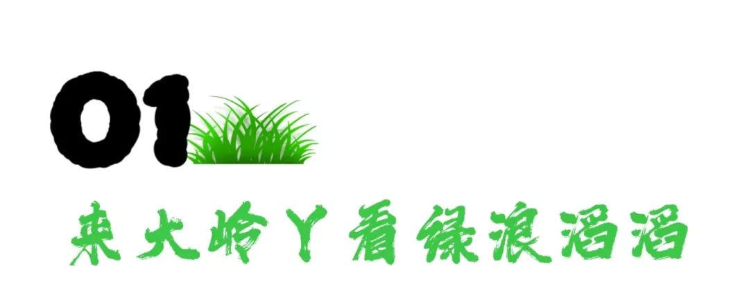 微信图片_20241024105517.jpg