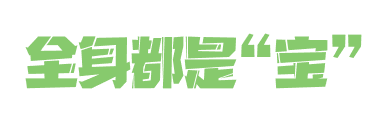 微信图片_20241028143133.png