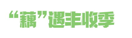 微信图片_20241028143247.png