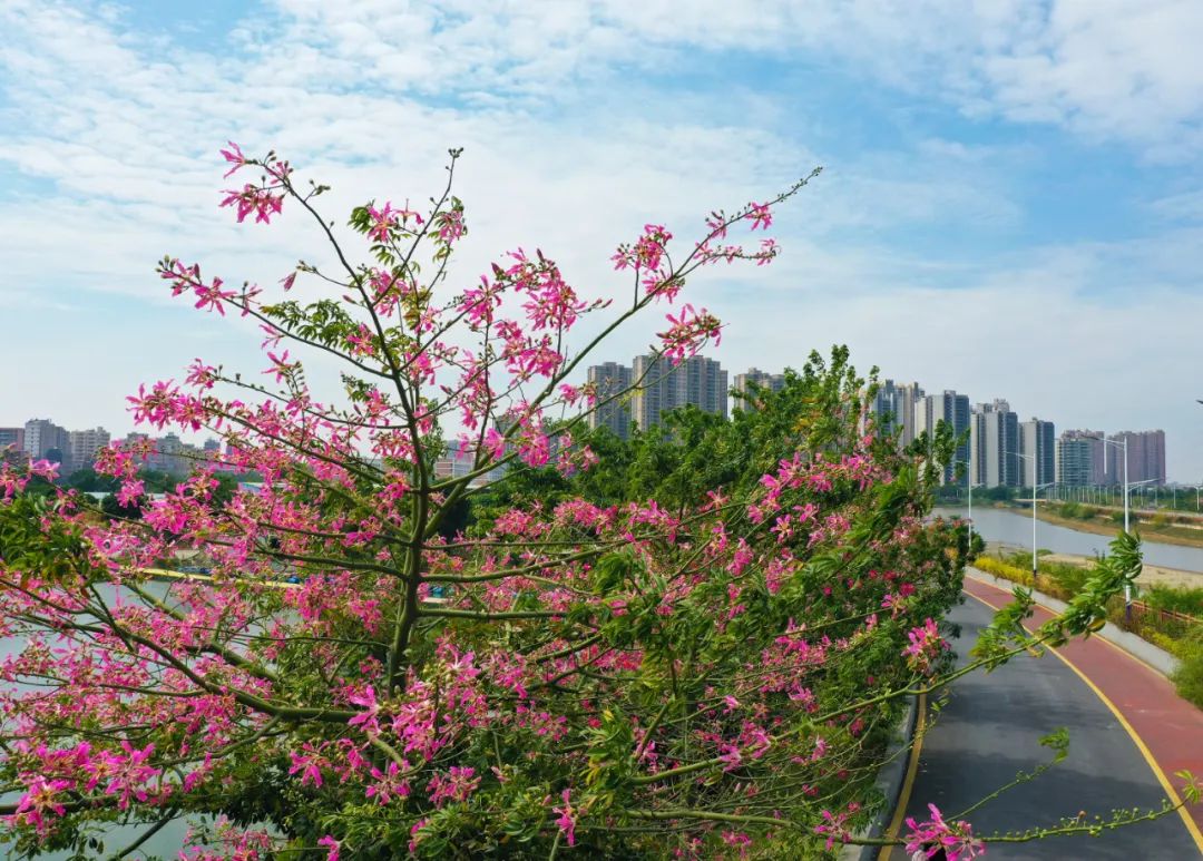 美沥邂逅 (2).jpg