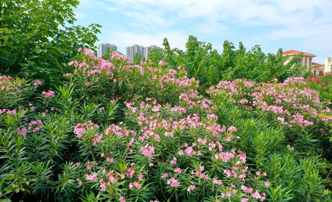 美沥邂逅 (3).jpg
