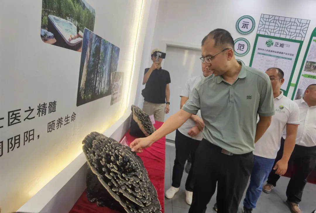 微信图片_20241113115414.png
