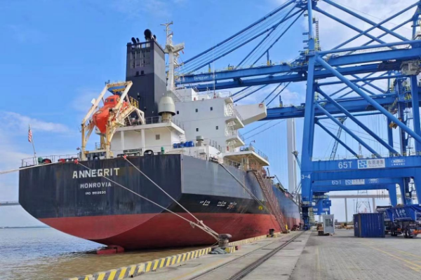 1106东莞市国资委-东莞港务集团构建“1+3+N”党建工作体系 以高质量党建引领保障高质量发展.docx_2