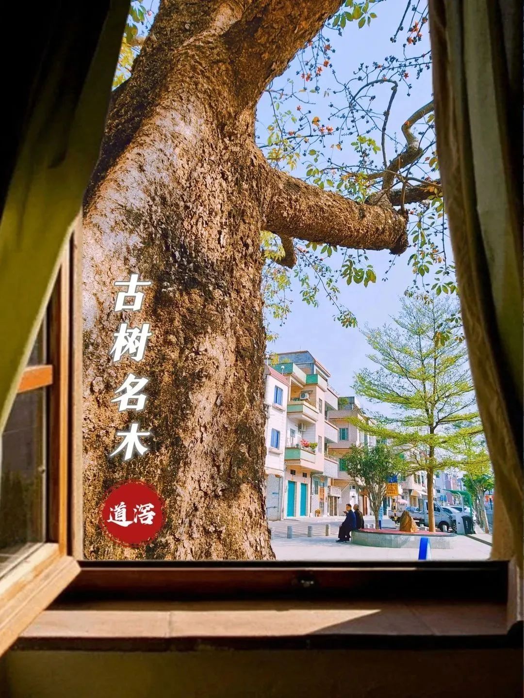 微信图片_20241130143548.jpg