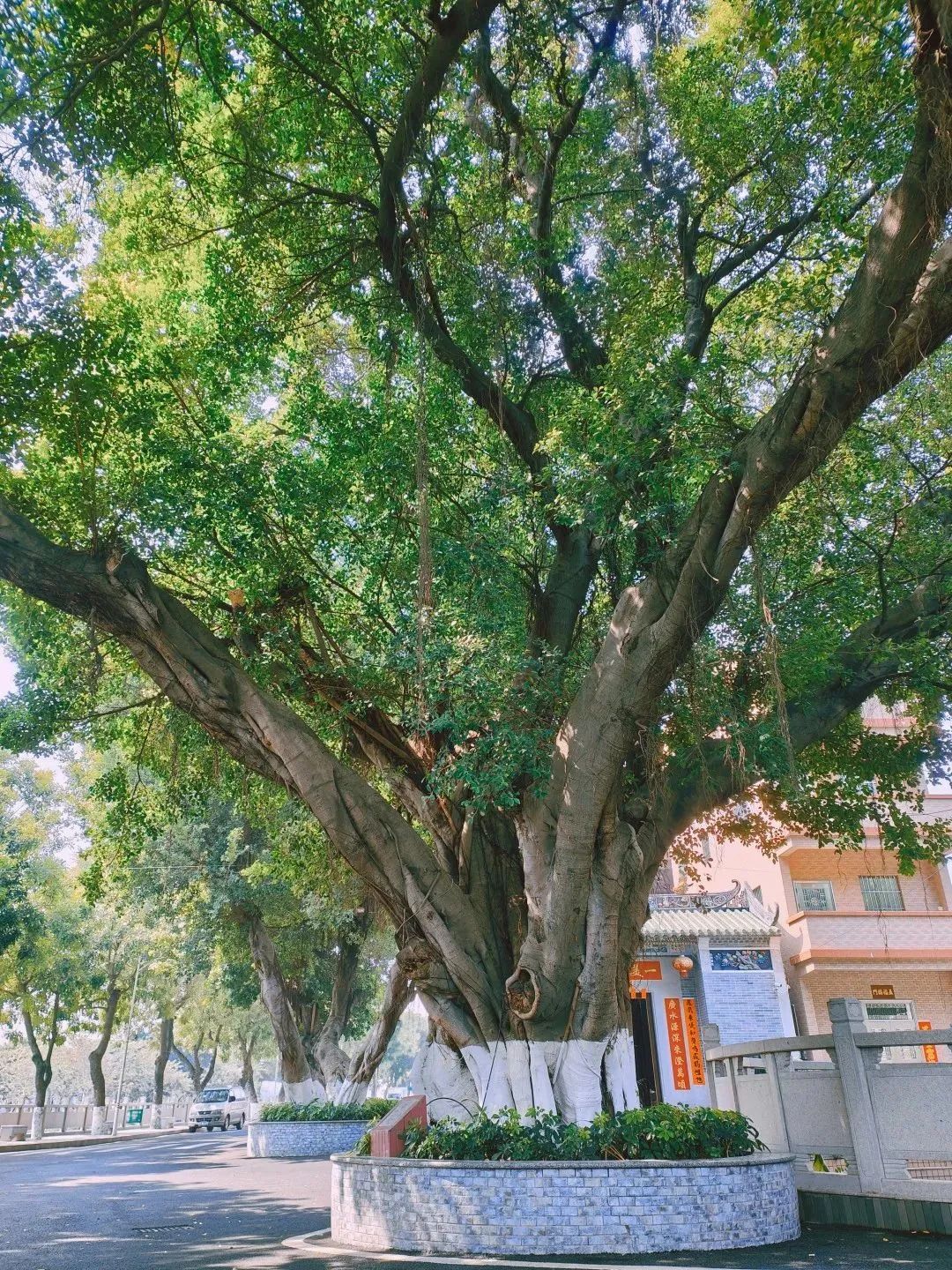 微信图片_20241130143607.jpg