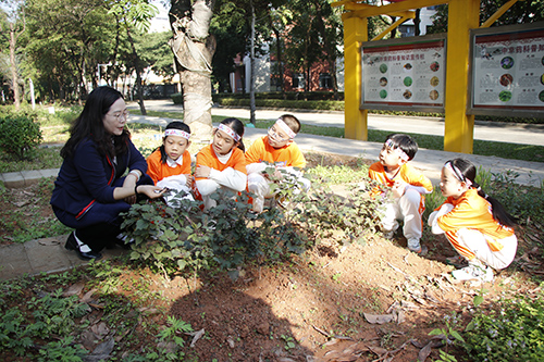 2【标题】全市仅5所！大朗中心小学获评2024年东莞市中医药文化特色学校！.JPG
