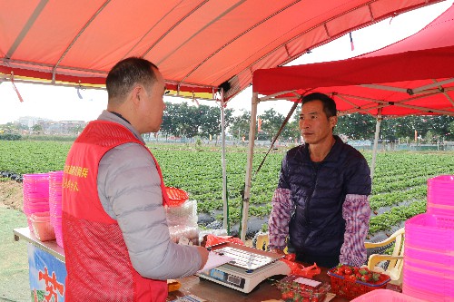 2【标题】加大草莓农残检测 确保市民“舌尖上”的安全 (8)~1.jpg