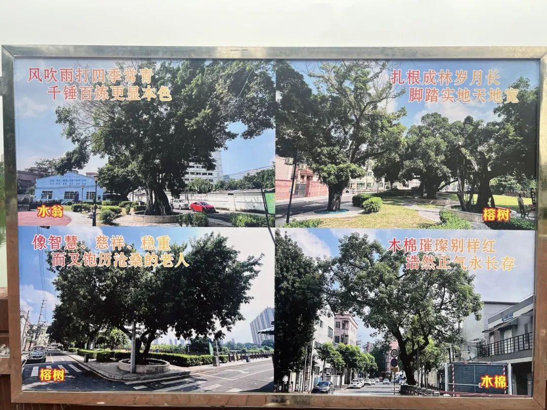 微信图片_20250110141507.jpg