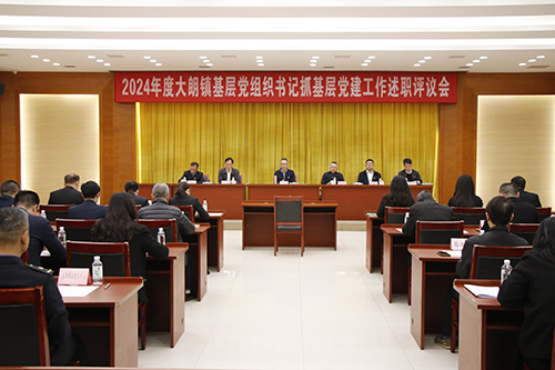 1【标题】大朗召开基层党组织书记抓基层党建工作述职评议会.JPG