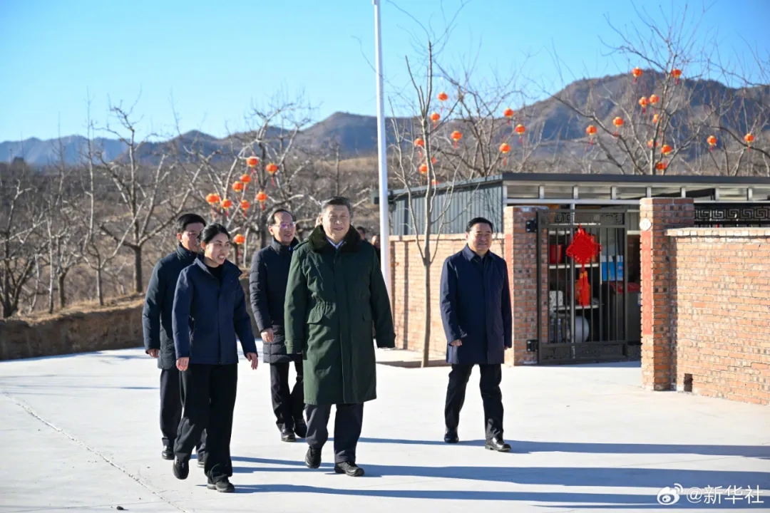 250124-01.webp.jpg