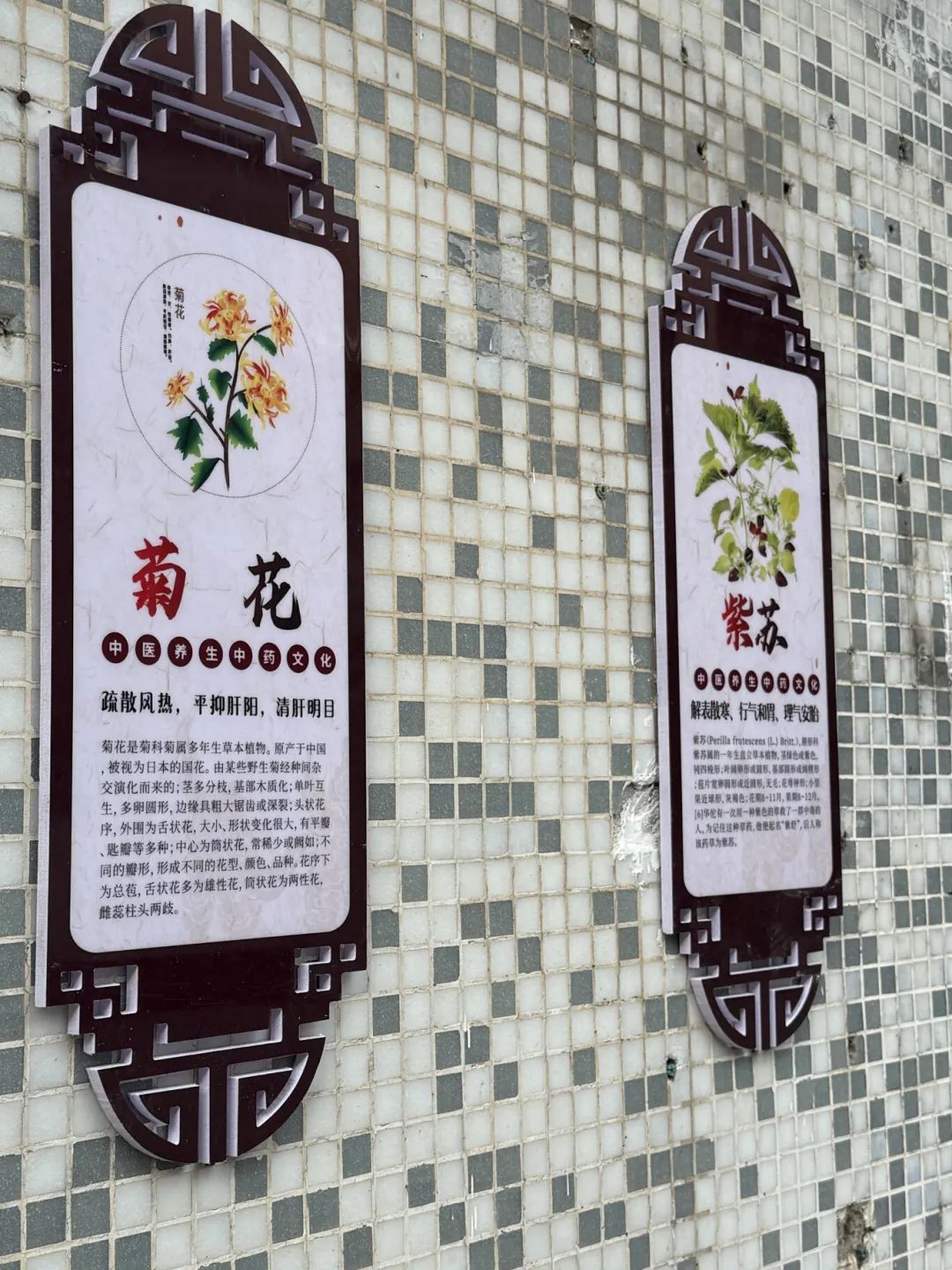 微信图片_20250207150512.jpg