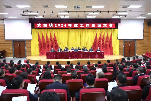 2【标题】大朗镇召开2024年度工作总结大会~1.jpg