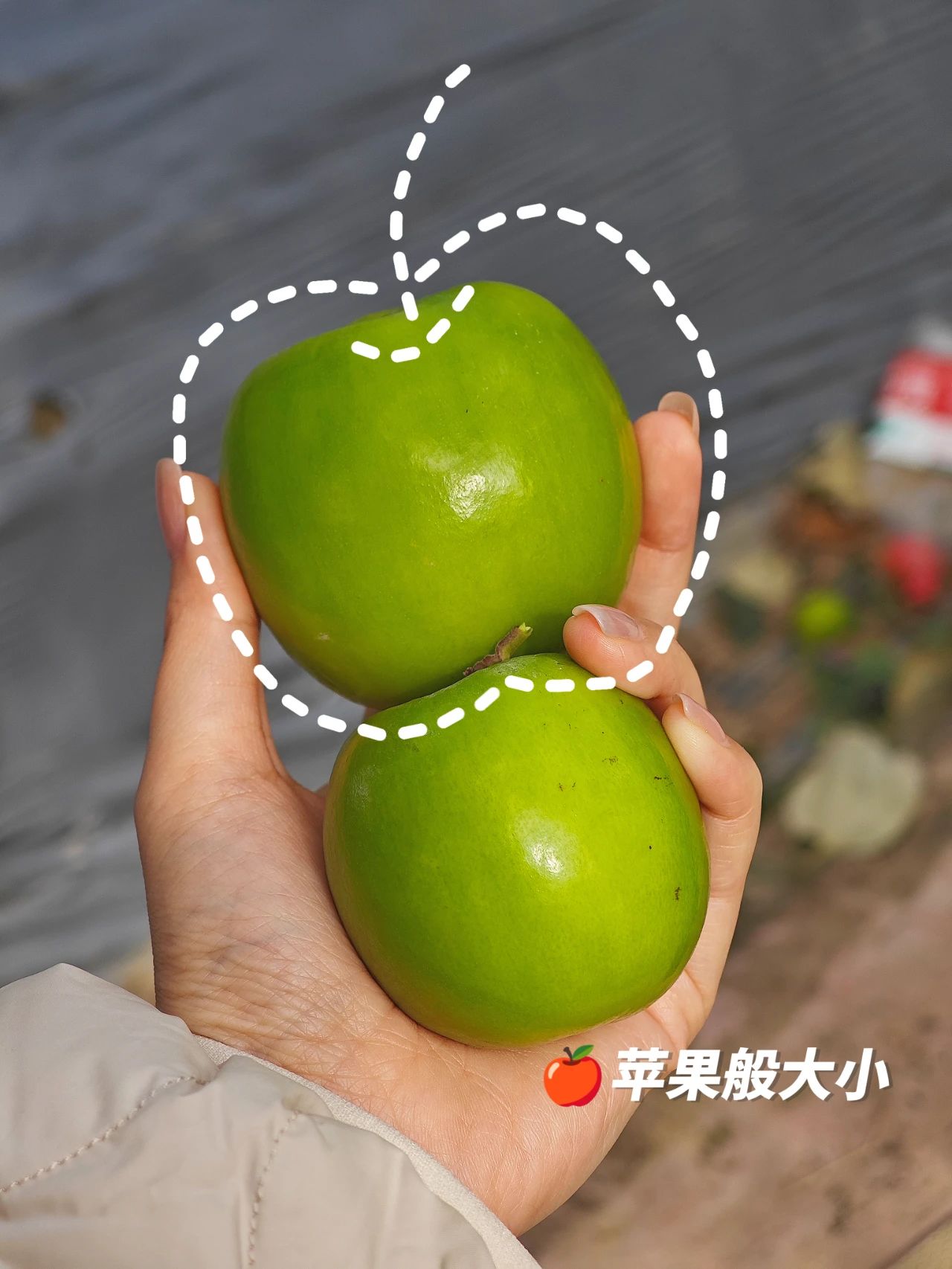 微信图片_20250217140213.jpg