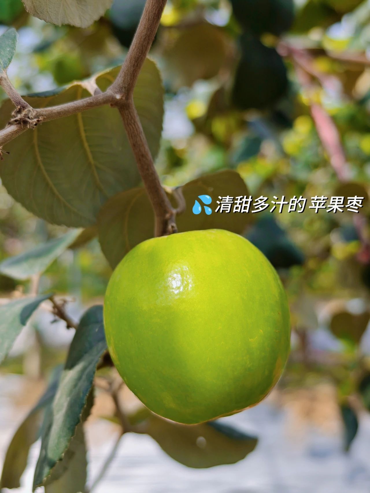 微信图片_20250217140220.jpg