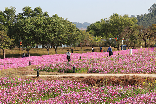 4【标题】踏青季谨防花粉过敏.JPG